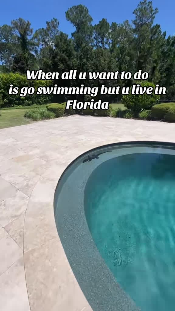 cover for When a gator crashes your backyard pool party 🐊😂 #GatorCountry #FloridaLife #PoolSurprise