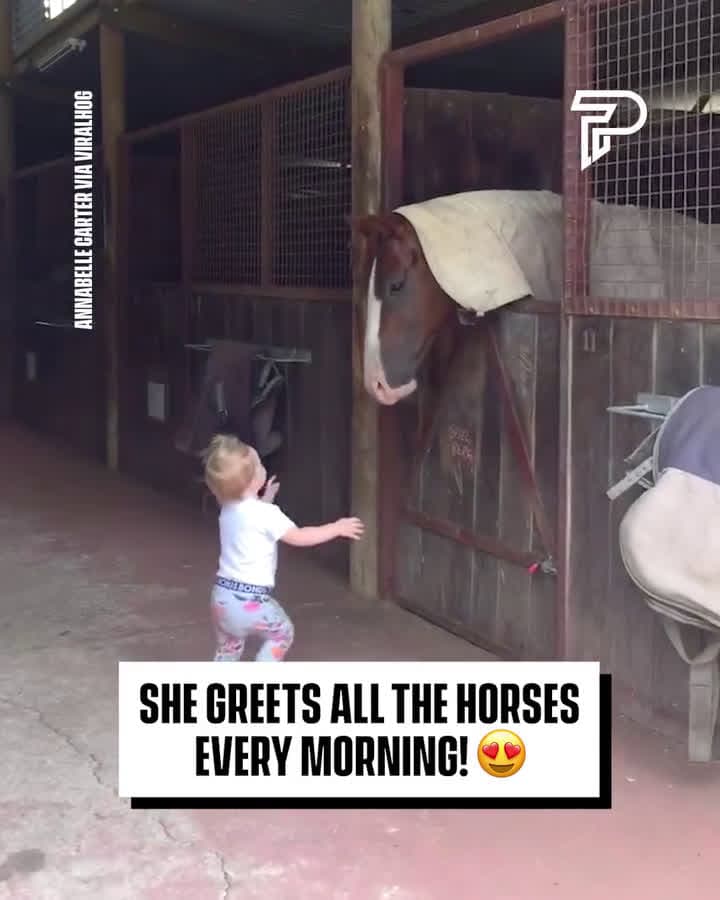 cover for This toddler loves her horses!#UnpopularOpinion #CaughtOnCamera