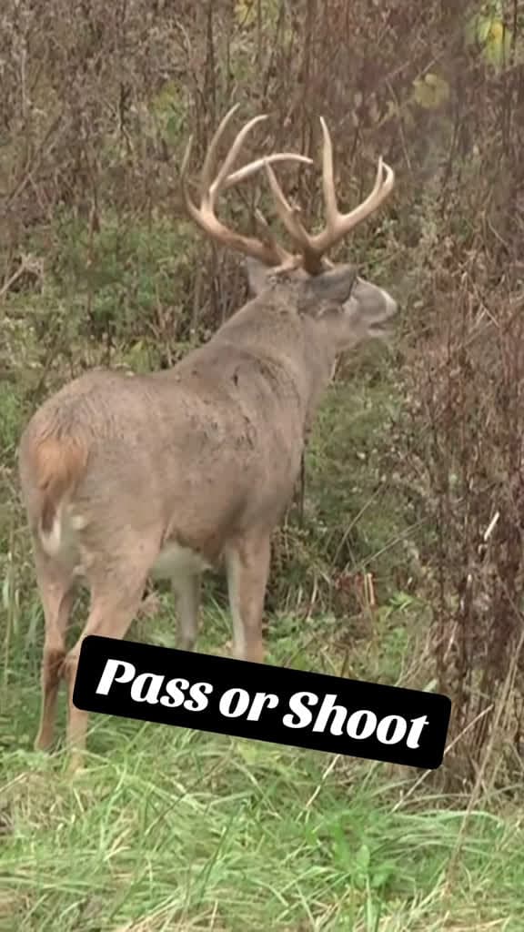 cover for You decide the move: take the shot or pass? 🦌 #Hunting #Outdoors #DeerHunting #DecisionTime