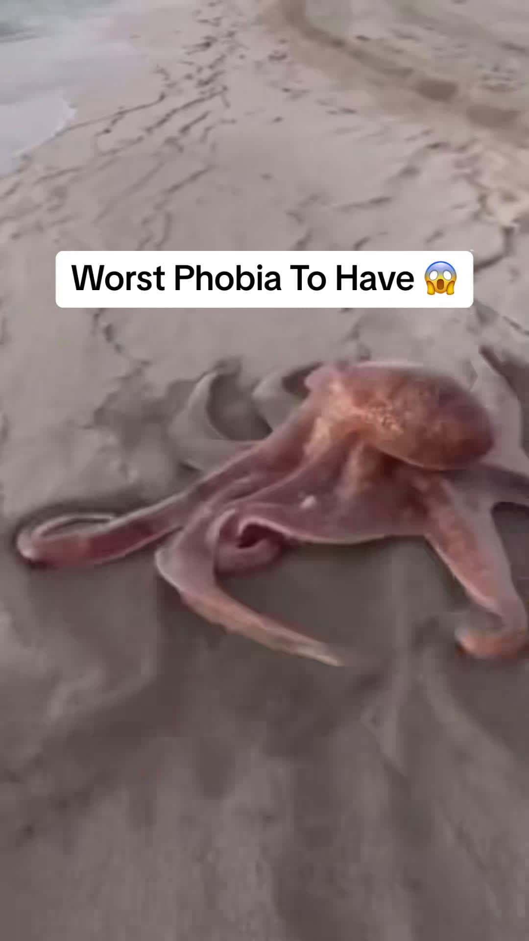 cover for #UnpopularOpinion Worst Phobia To Have