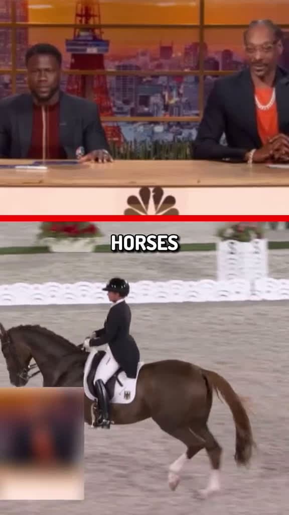 cover for Crip walking horse.. snoopdogg kevinhart music 37339 #america