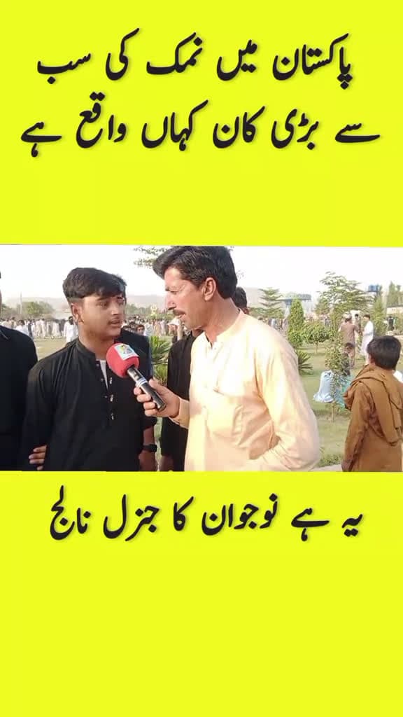 cover for Hilarious Questions and Answers for 2025!