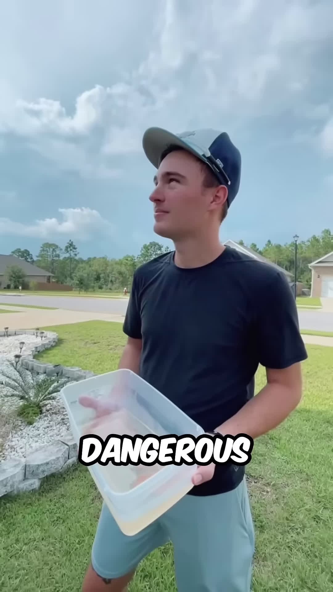 cover for This Guy Discovered A Wasp Nest so