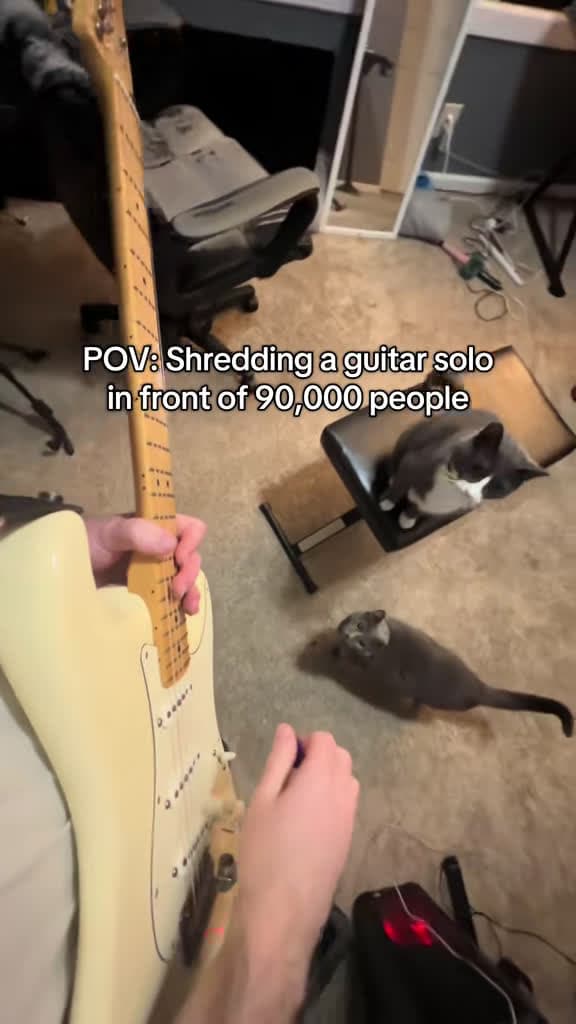 cover for Shredding Freebird like never before! 🎸🔥 #guitarsolo #electricguitar #freebird