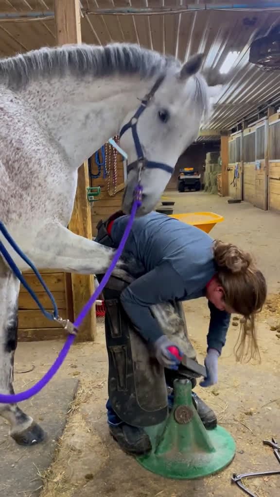 cover for farrier farriersoftiktok tiktok farriersontiktok anime fyp house foryou animation asmrvide 68334 #shortvideos