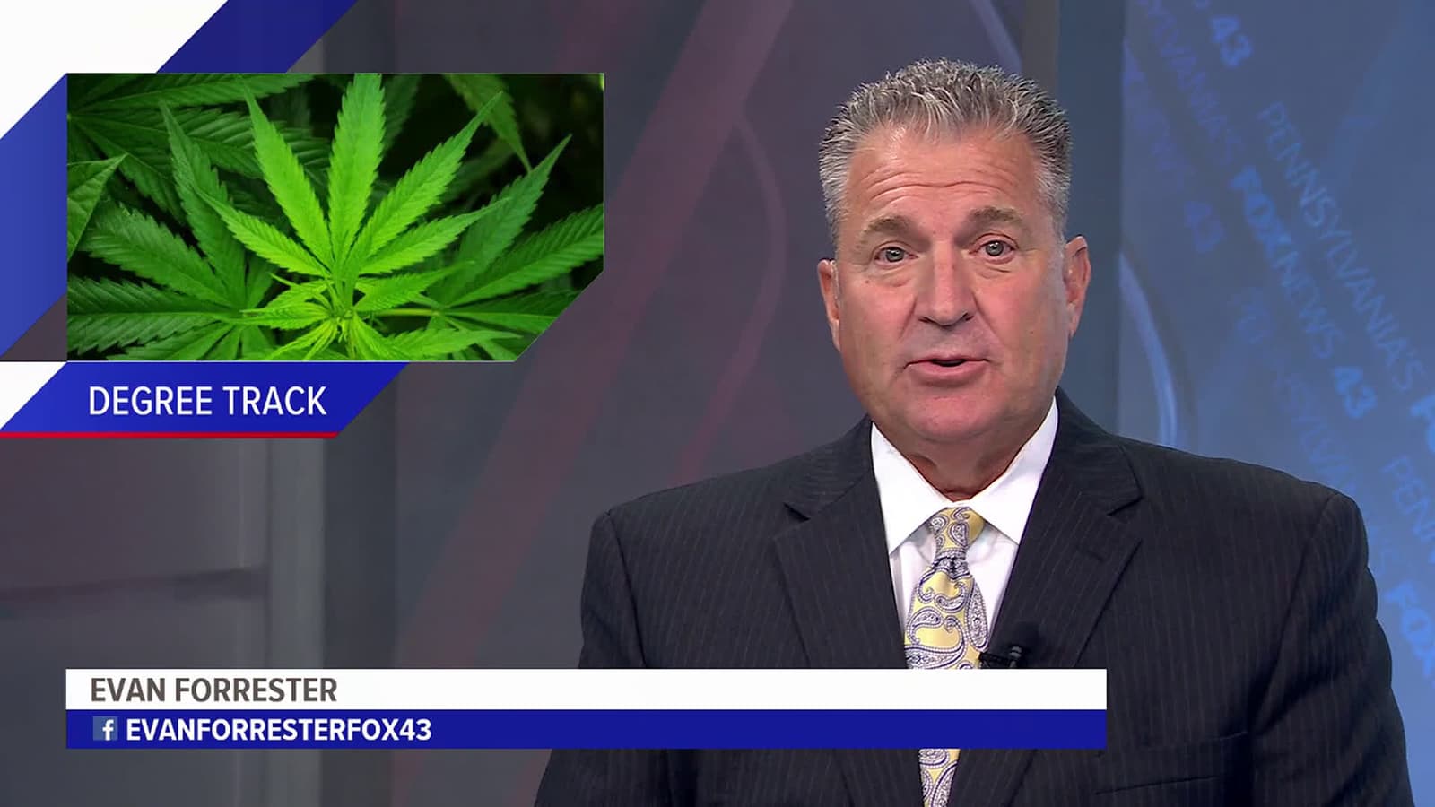 cover for Central Penn College launches cannabis management courses this fall