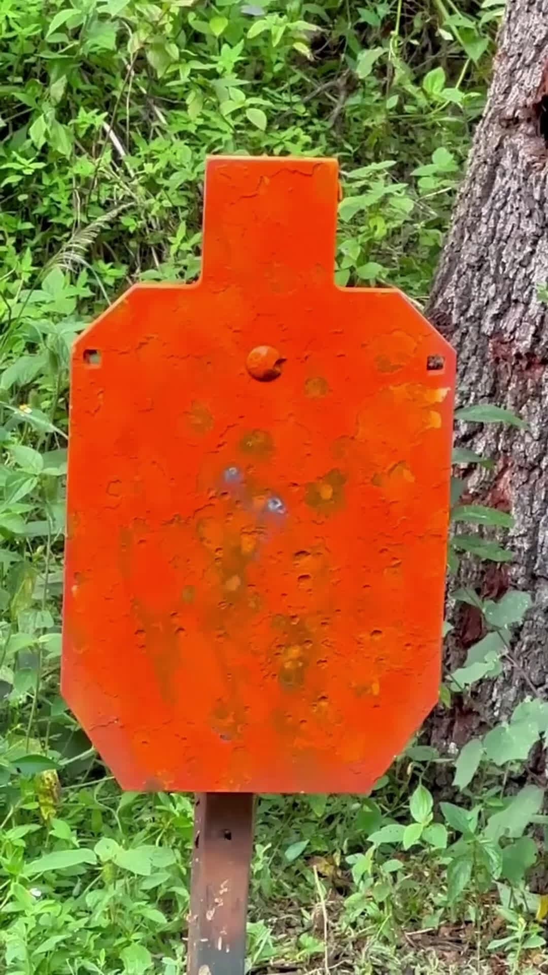 cover for Thunder revolver#guns #pistol