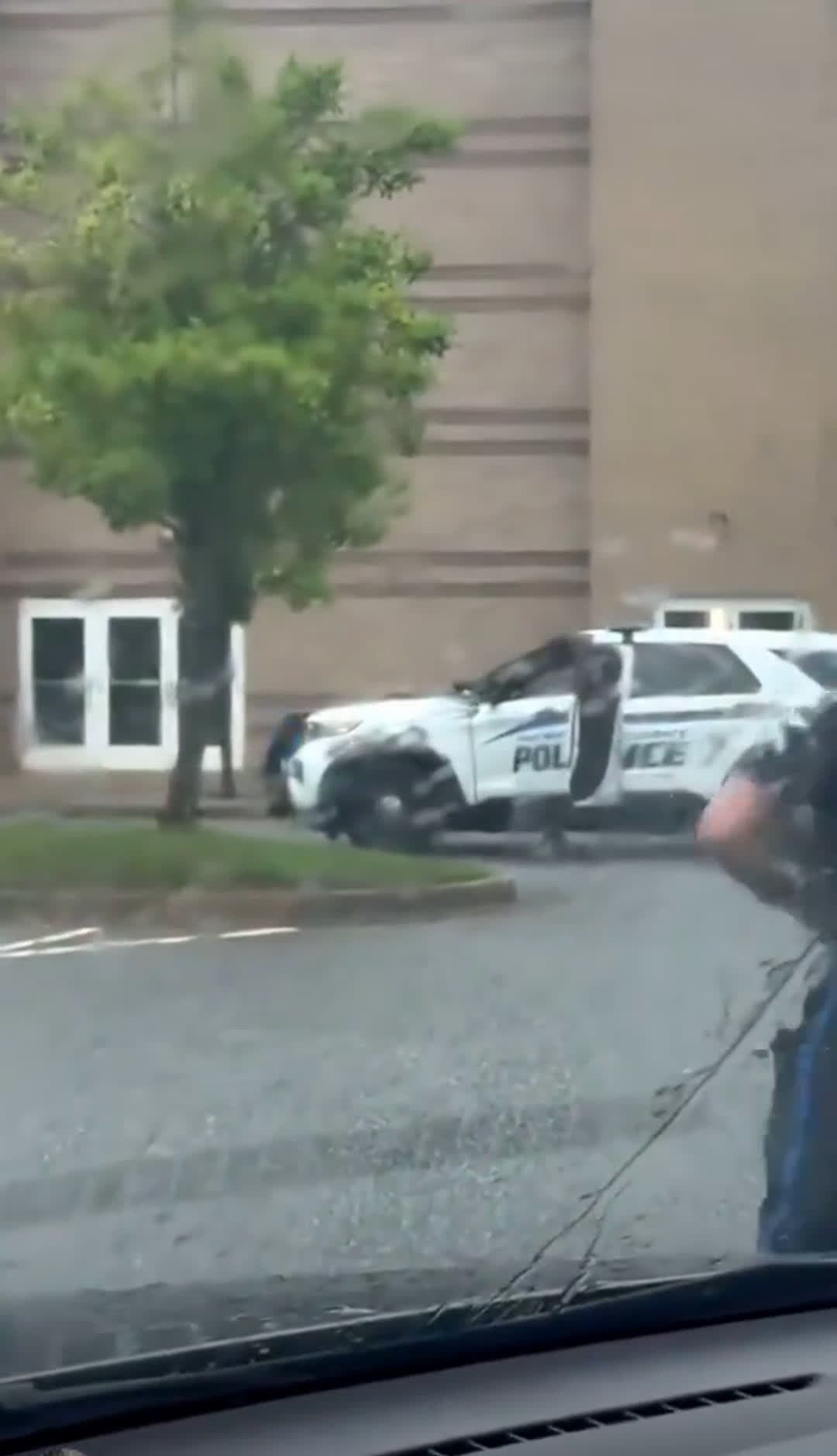 cover for That moment when you try to steal a cop cruiser like it's GTA Online, but there's already a cop in there, and you end up getting bodyslammed, molliwopped and tazed for being a dumb dumb