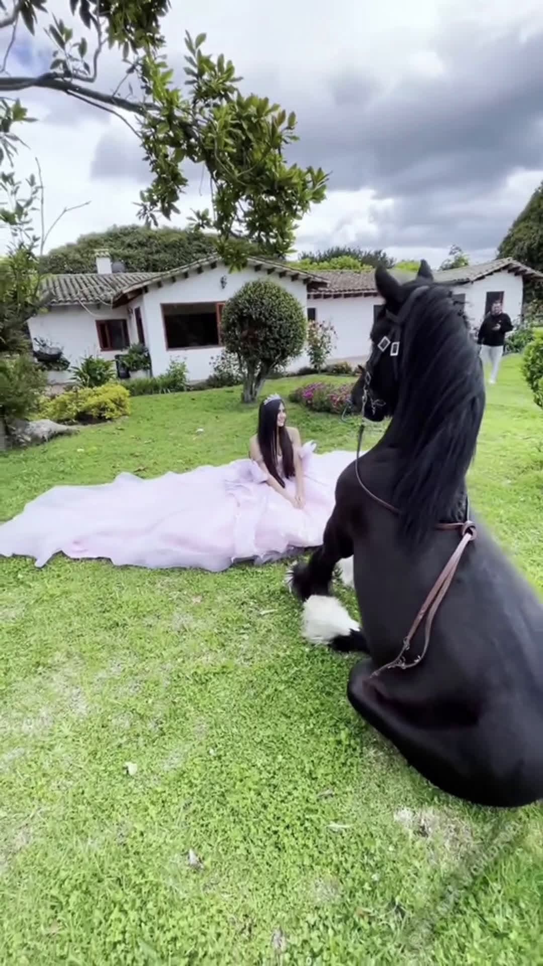 cover for a free-spirited wedding scene#horse ❤️#horses #horsesoft #horselover #horsevideo #fypシ #foryou#lovehorses #loveyou #Love #wedding 