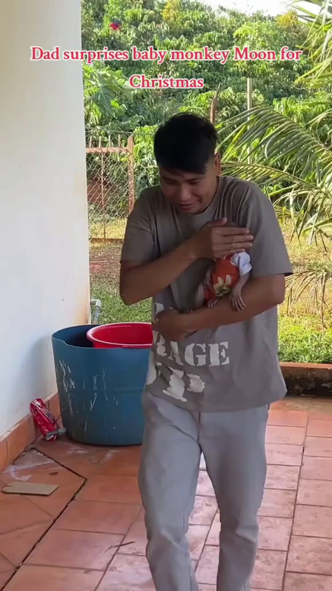 cover for Dad surprises baby monkey Moon for Christmas. #monkey #babymonkey #monkeydluffy 