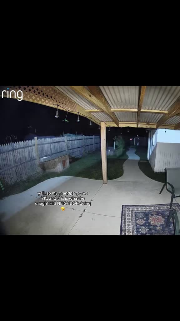 cover for Toledo wasn’t even ready... all that buildup for nothing! 😭 #ToledoOhio #RingDoorbell #CaughtOnCamera