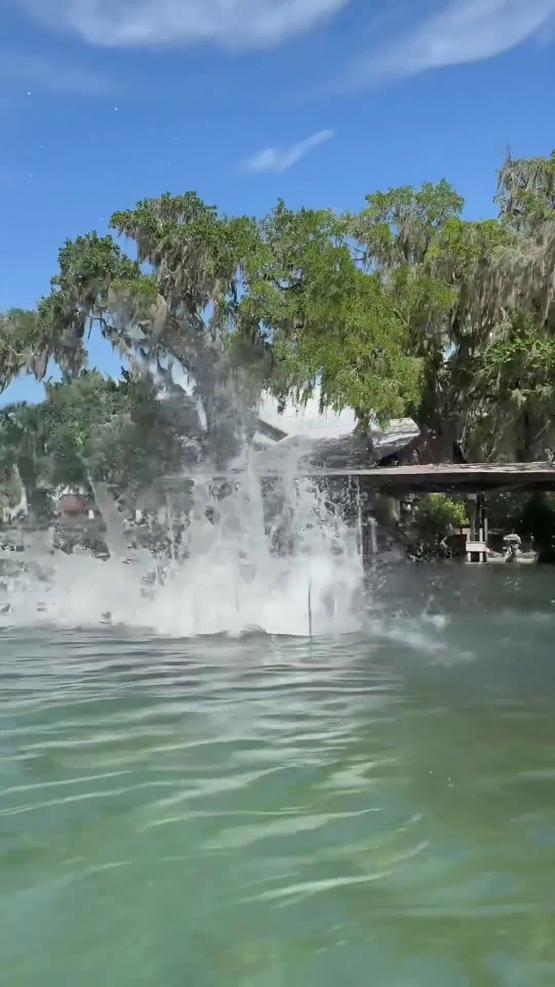 cover for What would you name this trick_ 🥰😅