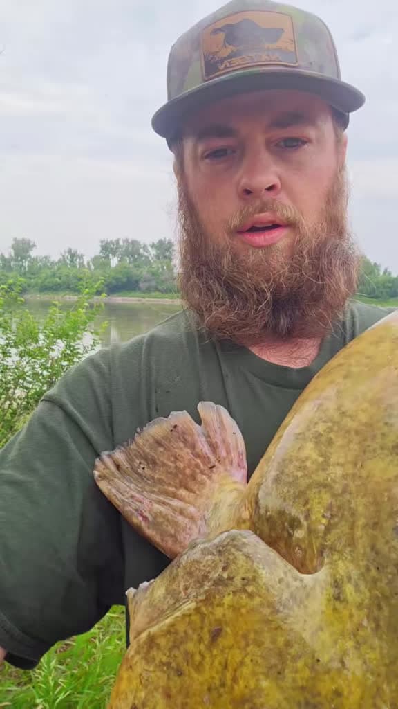 cover for 53lb Flathead Catfish battle in the Missouri River current! What a fight! 🐟🔥 #FlatheadCatfish #CatfishFishing #MissouriRiver