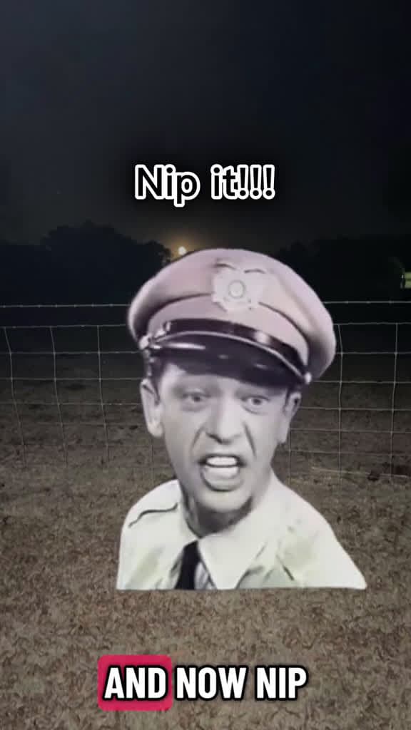 cover for Nip it in the bud. Roger that ole buddy. 👈🏼💯 #action #actions  created by elizabethsummerbell with keith’s original sound