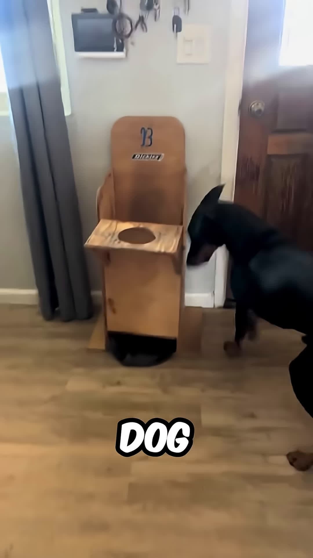 cover for This Dog Has A Serious Illness