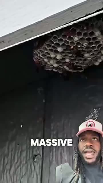 cover for Natural Pest Control
