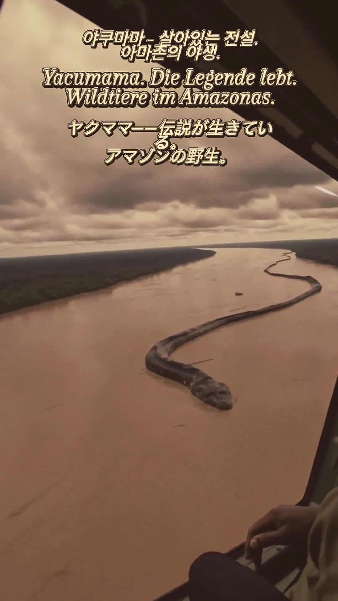 cover for Witness the power of the legendary anaconda! 🐍 #Anaconda #Wildlife #Legends