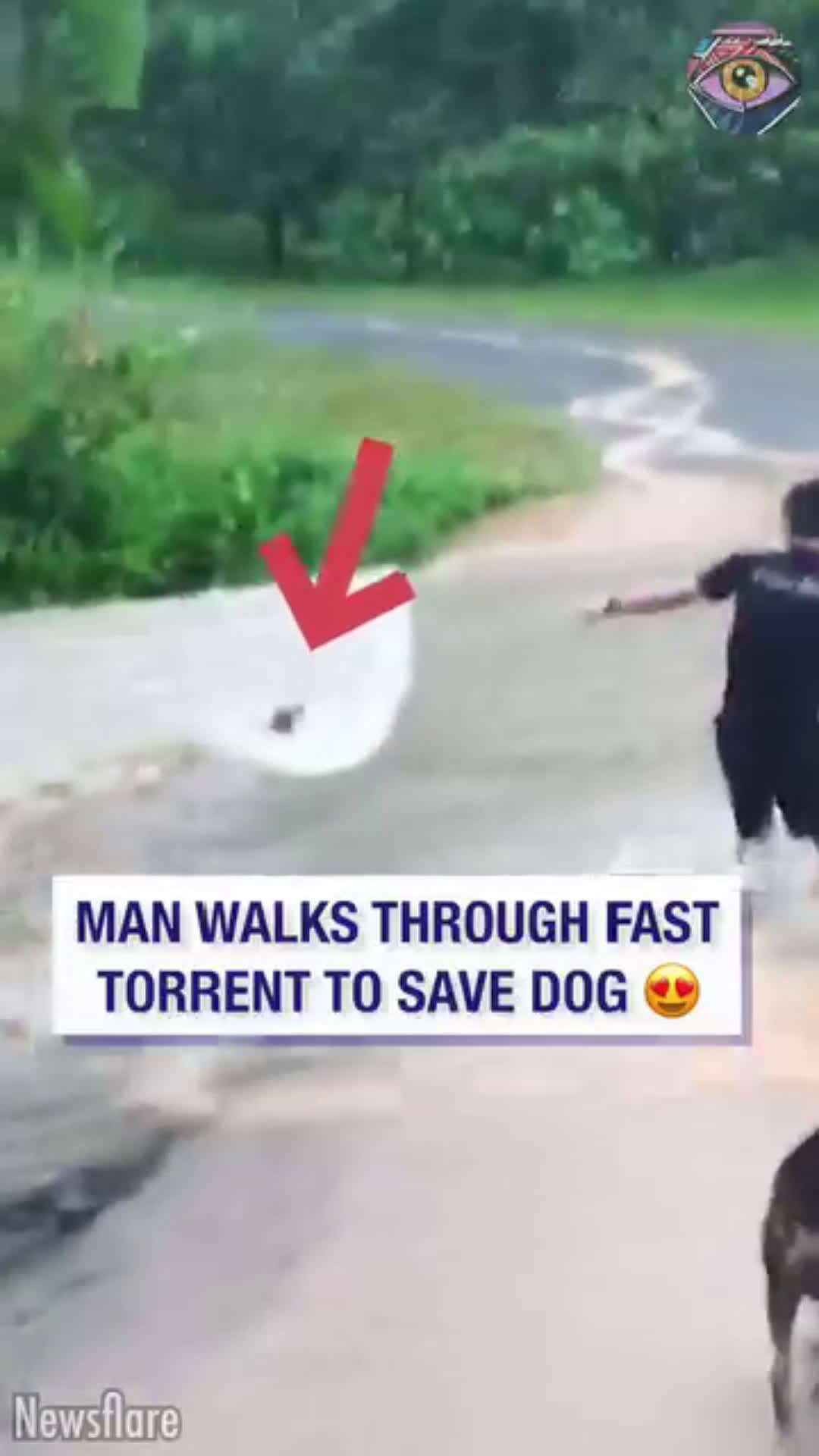 cover for This man saves a drowning dog, May God bless him abundantly