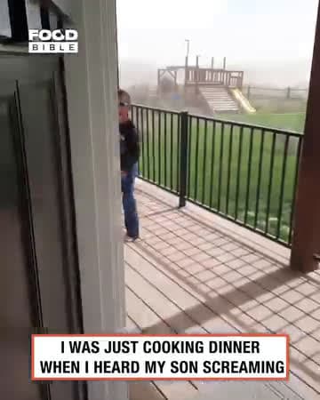 cover for I was just cooking dinner when I heard my son screaming 🤯