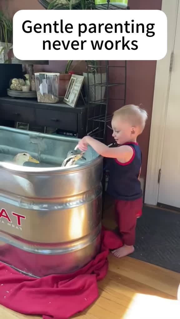 cover for When gentle parenting backfires 😂 #ParentingFails #FunnyKids #ToddlerLife