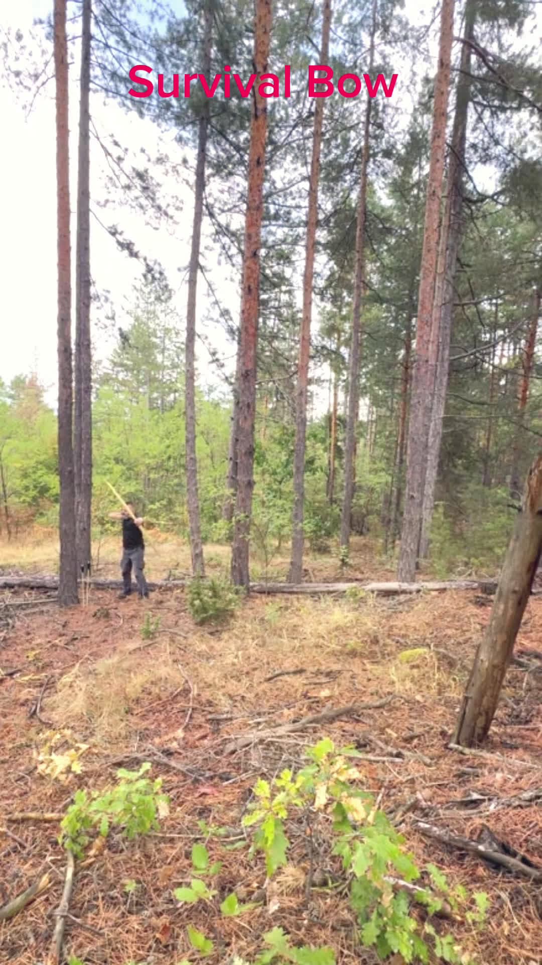 cover for Survival | making a bow and arrow with a knife and a wooden stick in the deep forest #survivalskills #survival #bushcraft #bow #archery