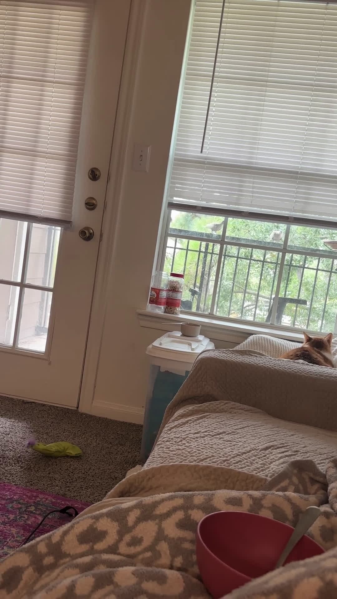 cover for Dad shows off his best moves 🕺 #DadDance #BestMoves #FamilyFun #ViralVideo
