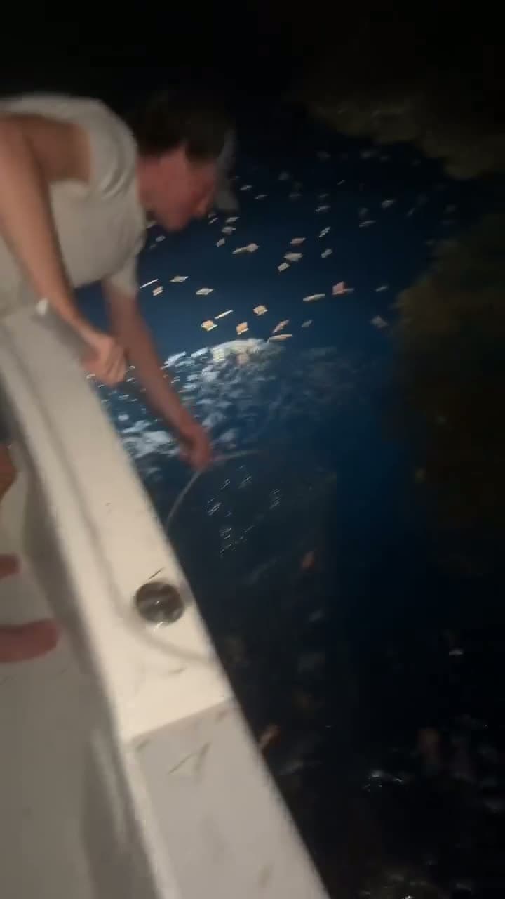 cover for Dropped a net and pulled up the biggest haul of rock shrimp I've ever seen! 🦐 #SeaLife #Fishing #Shrimp #OceanCatch