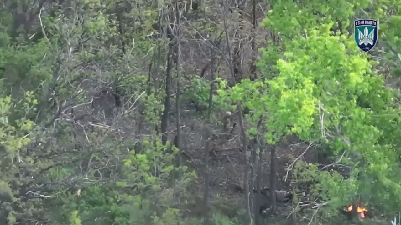cover for Bold gesture: Russian soldier flips off Ukrainian drone before impact 💥 #WildMoments #DroneCaught