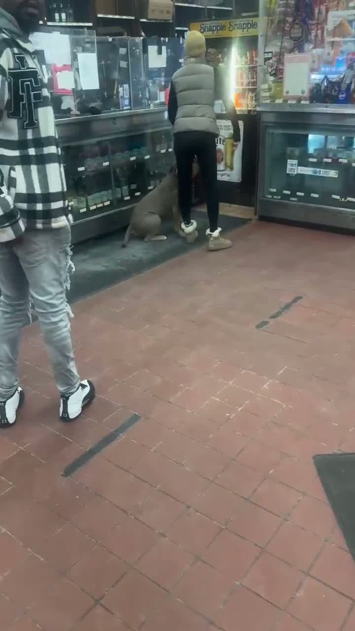 cover for I’m trying to get drunk this morning She brought the dog to liquor sto to bite her And that didn’t go as planned 🤷🏾‍♂️moral of the story the dog went to jail🦉😂😂😂😂