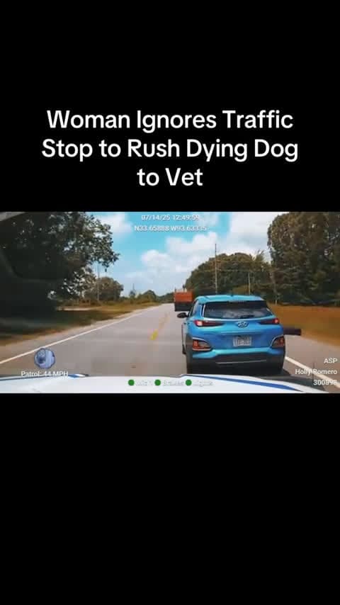 cover for Arkansas officer prevents desperate pet owner from rushing dying dog to emergency vet 😢 #JusticeForPets #DogLovers #Heartbreaking