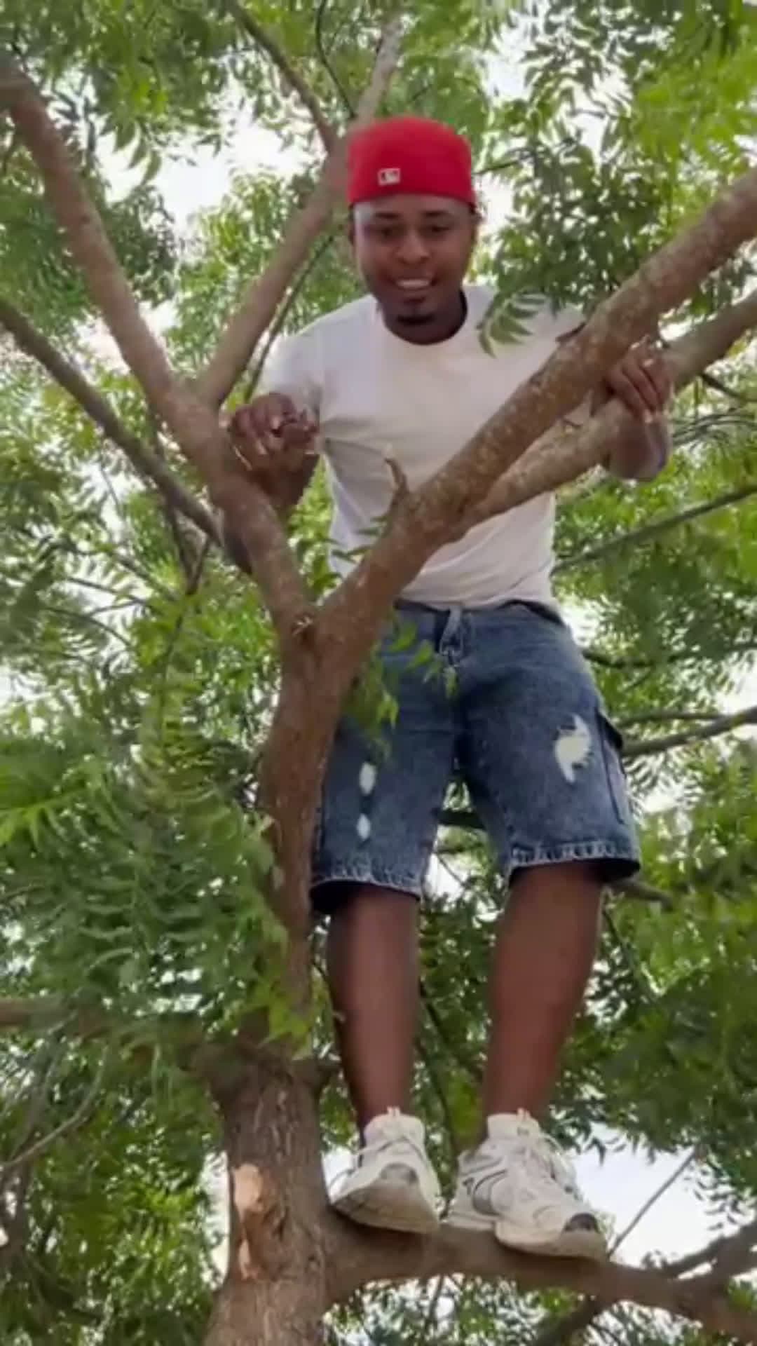 cover for so funny 🤣🤣