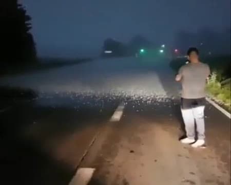 cover for Caught just inches from a wild hailstorm! 🌨️ #Hailstorm #WeatherAlert #CloseCall