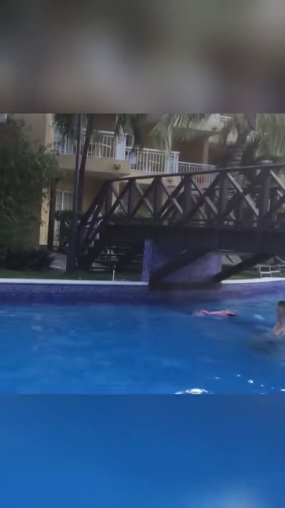 cover for Hilarious moments when animals just can't catch a break! 🐾😂 #funnyvideos #cute #animals