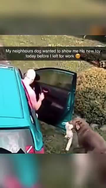 cover for Funny and cute dogs compilation #funnydog #cutedog #dogoftiktok #doglover #dog #dogoftiktok #foryoupage #funnypet #doggo #talkinganimals #foryoupagereels #funnyanimals #foryou 849