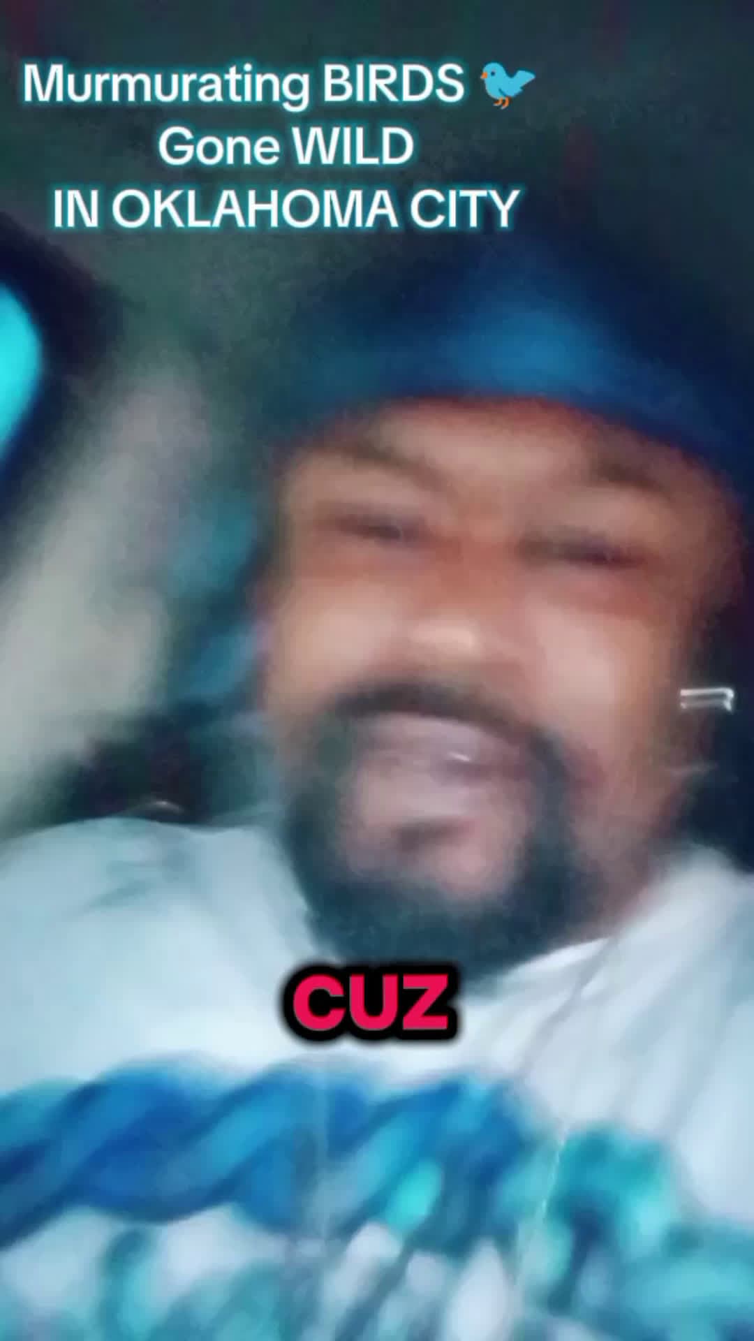 cover for Murmuration BIRDS 🐦 Gone WILDIN OKLAHOMA CITY #fyppppppppppppppppppppppp  #foryou  #fyp  #scoopz  #viral  #scoopz  #trending  #reels  #braylensmithsr  #fatp46 