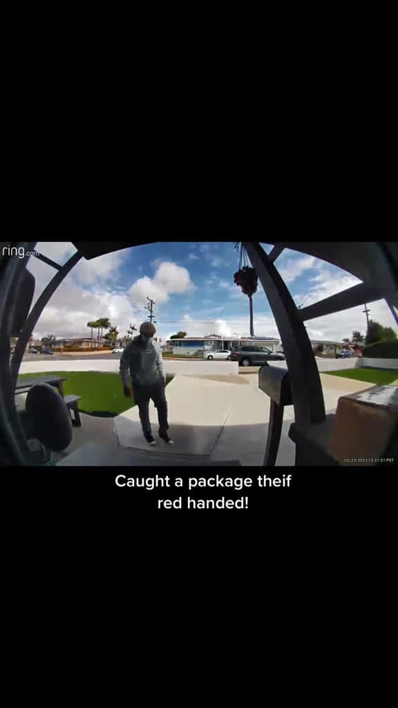 cover for Caught a package thief on camera and got so nervous I forgot the word 'identification' 😂 Packages are safe though! #PackageThief #RingCamera #CaughtOnCamera