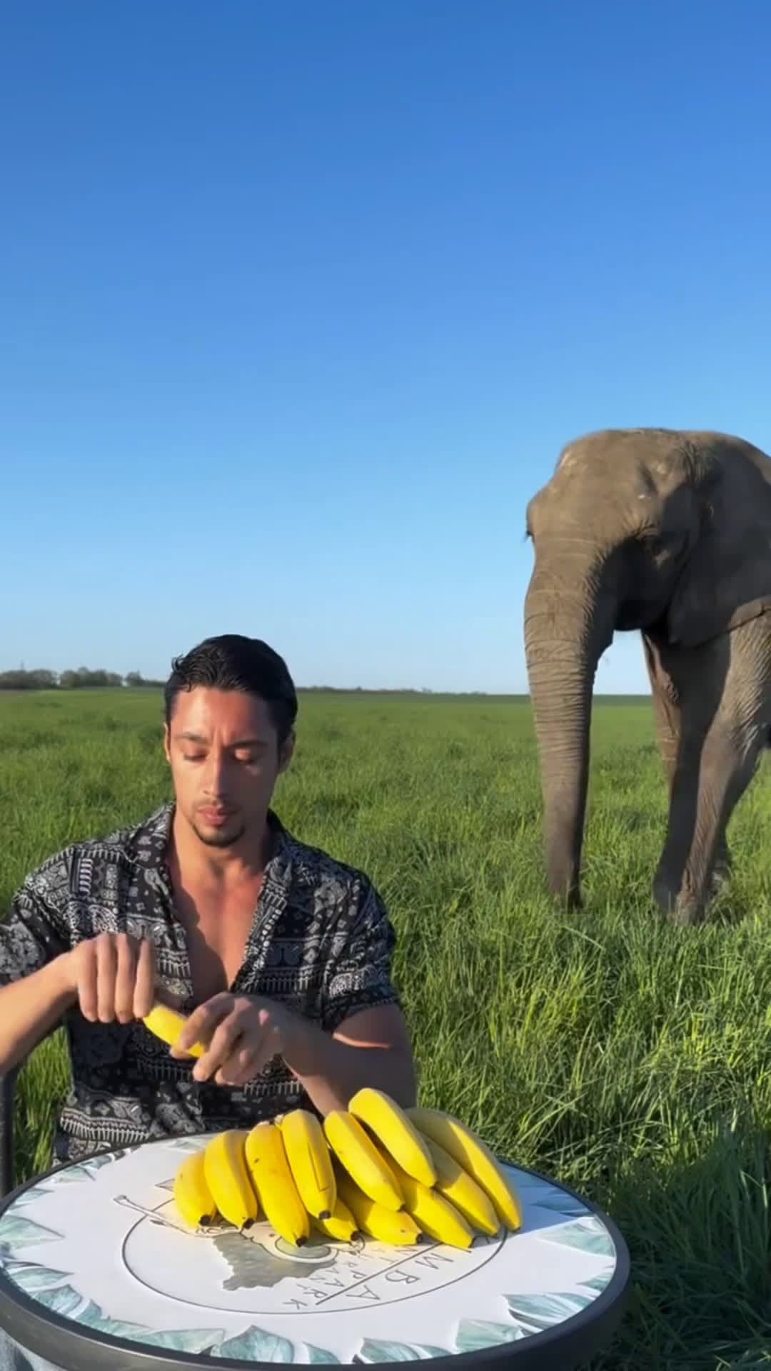 cover for Banana 🍌 time 🙄 #elephant  #wildlife  #relatable #FirstVideoChallenge