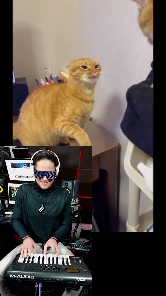 cover for Cat music  cutecat cute catsoftiktok cats catmusic atilakw singercat catsound rem 30917 #shortvideos