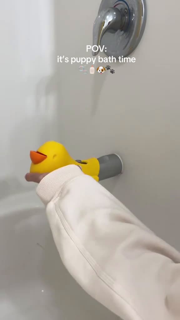 cover for it’s puppy bath time again!#bath #bathtub #puppy #puppytiktok #cutepuppy #poodle #poodlesoftiktok #dog #tubshroom #teacupdogs #puppybathroutine #yellow #fyp #fyppppppppppppppppppppppppppppppppppppシ  #scoopz  #viral 