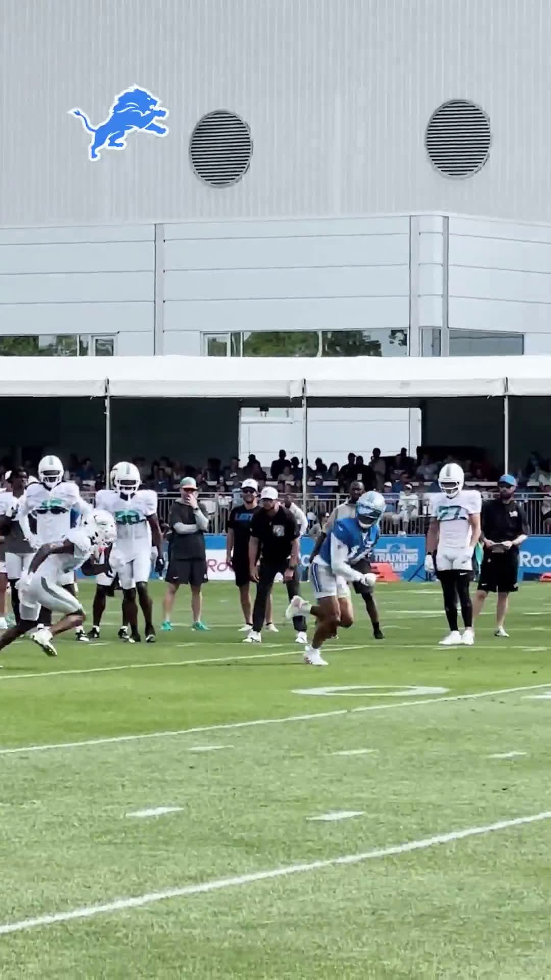 cover for Amon-Ra St. Brown carves up the Dolphins' secondary in a 64-second highlight 🔥 #AmonRaStBrown #Lions #NFL #Football #Dolphins