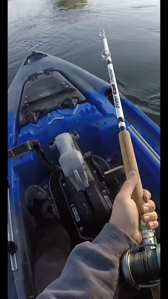 cover for Hooking the biggest fish in the river! 🐟🔥 #fishing #kayakfishing #sturgeon