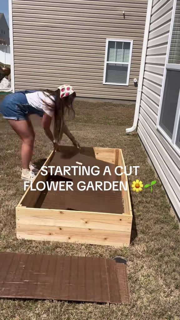 cover for Check out our beautiful flower garden transformation 🌸 Watch the full journey now! #FlowerGarden #Gardening #BloomingLove 🌿