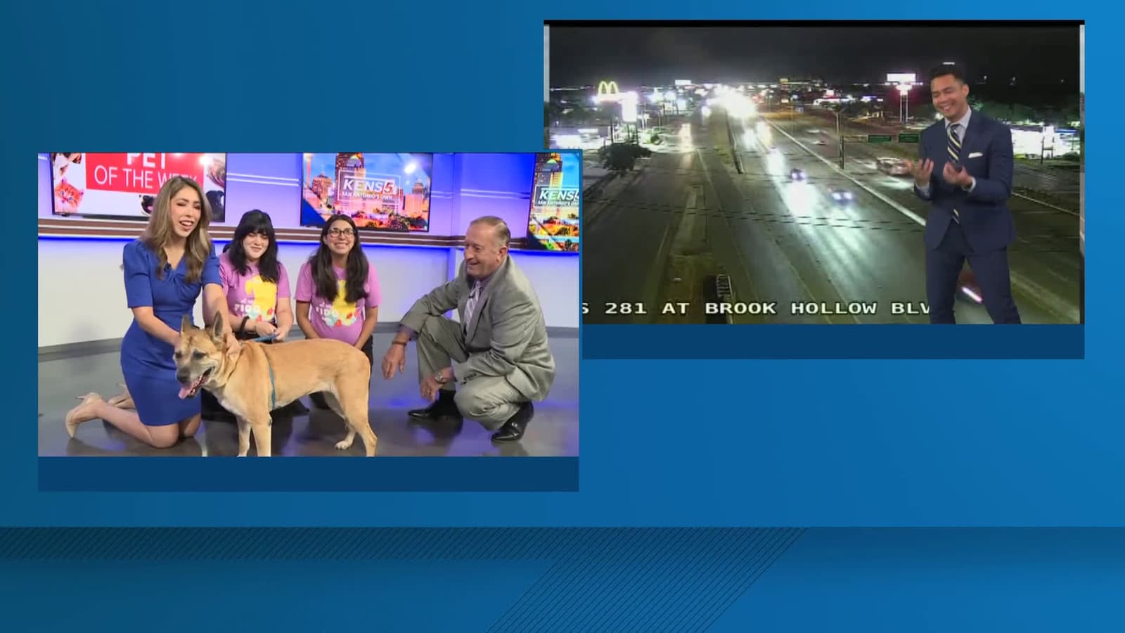 cover for Meet Aria, a 7-year-old Pit Bull waiting for you at the San Antonio Humane Society