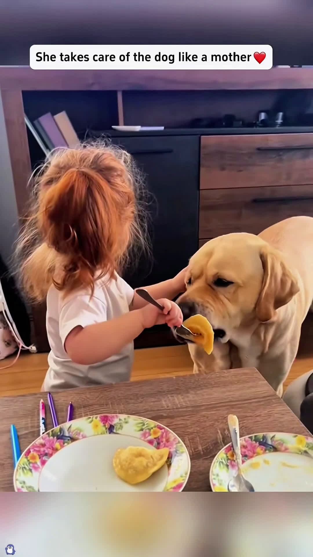 cover for The sweetest friendship🥰🥰#dog #love #baby  #pet #lovestory #fyp #cute