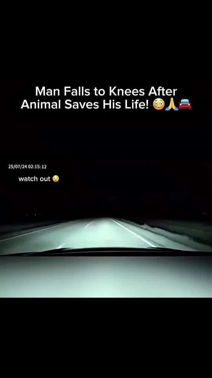 cover for man falls to knees after animal saves his life