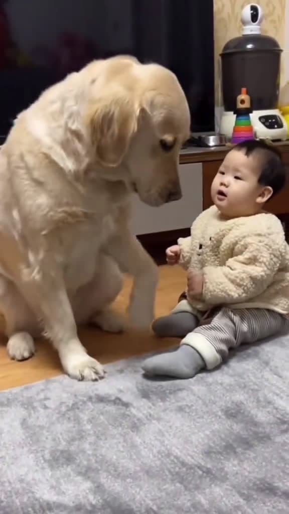 cover for They are best friends dog baby pet cute bestfriend tiktok dogsoftiktok foryou usa 81646 #shortvideosscoopz