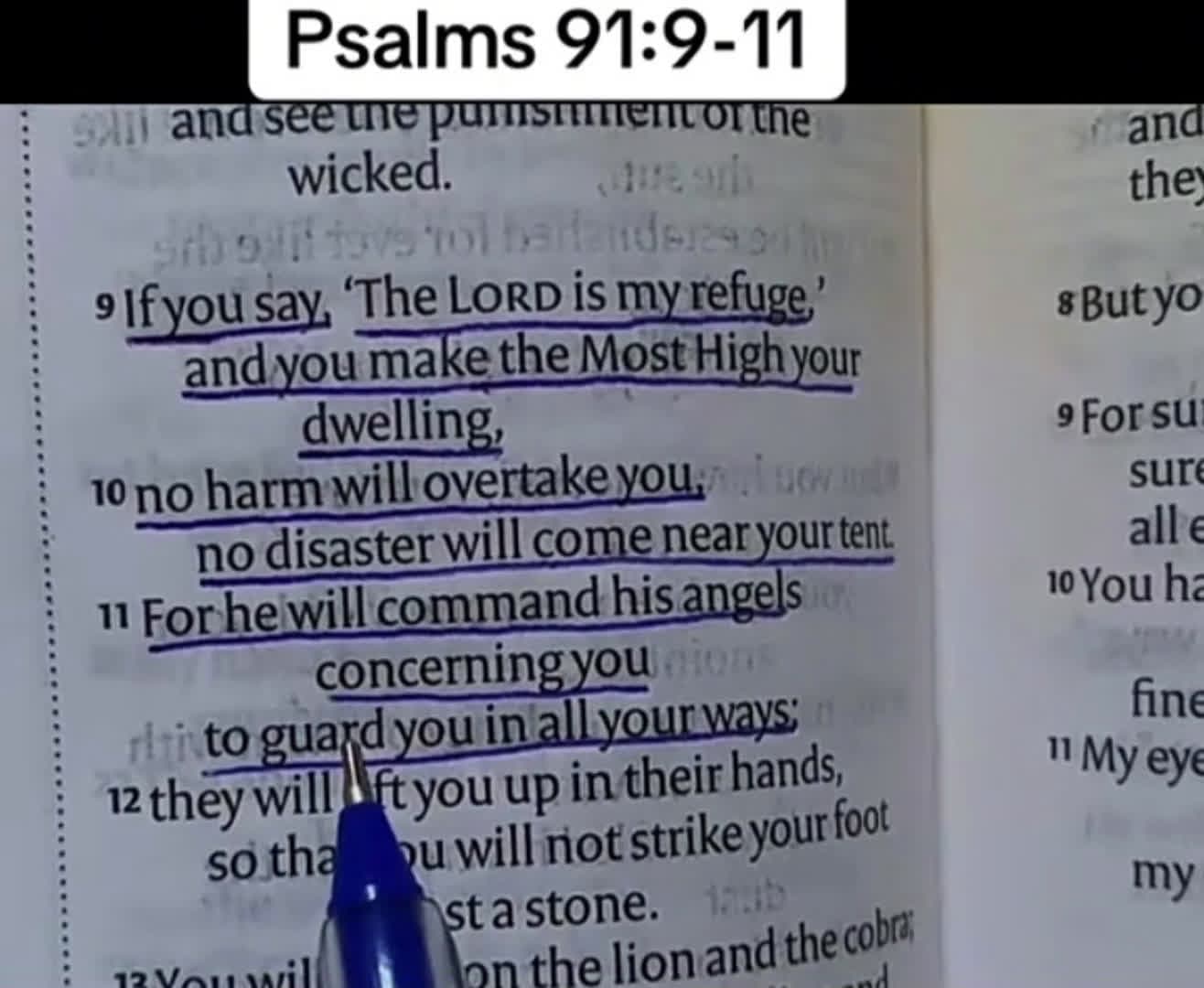 cover for #dailyscriptures  #follow for more verses