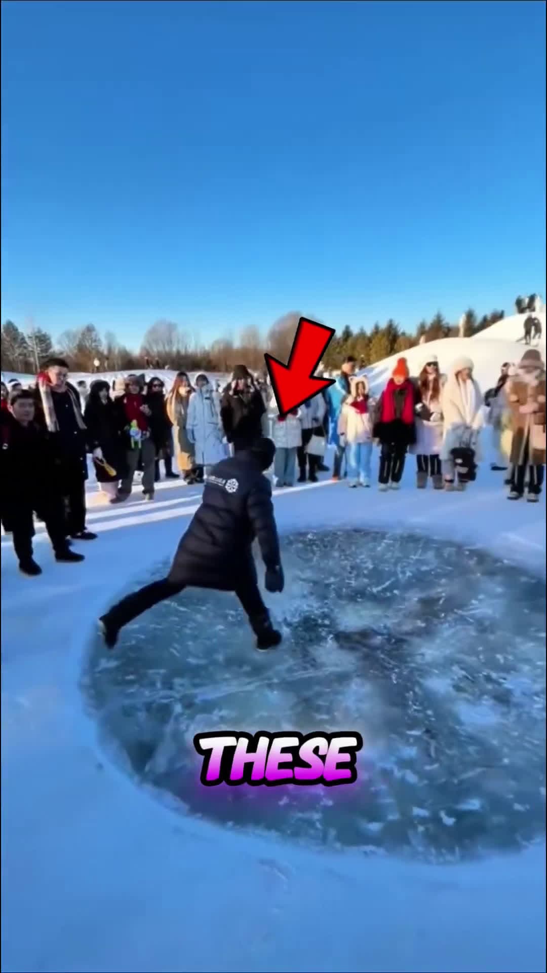 cover for They Froze for the Grand Prize
