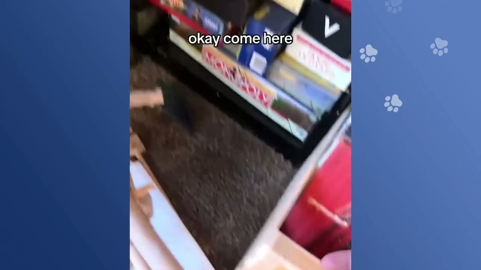 cover for 2 Men Prove Being A  Pet Dad  Is The Best Job    #scoopz  #cute  #america 