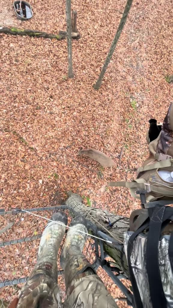 cover for Sometimes you just gotta prank the deer 😂🦌 #deerhunting #bowhunting #huntingseason